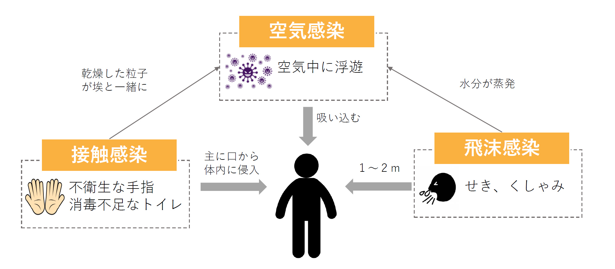 ウイルス感染症の予防は“接触感染予防”