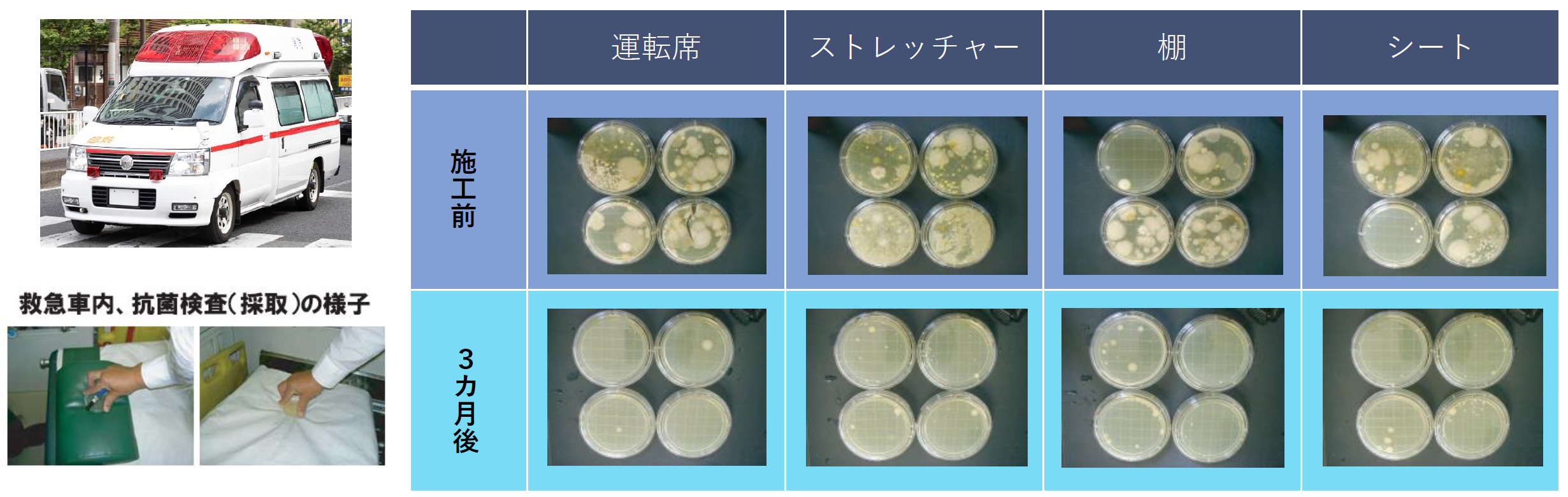 効果が長期間継続（有効期間は約1年間）